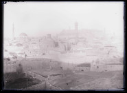 Vue générale de la citadelle d'Alep (Syrie) et des minarets.