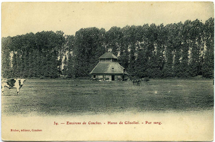 Glisolles. Haras de Glisolles - Pur sang.