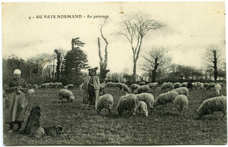 Divers. Au pays Normand. - Au pâturage.