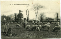 Divers. Au pays Normand. - Au pâturage.