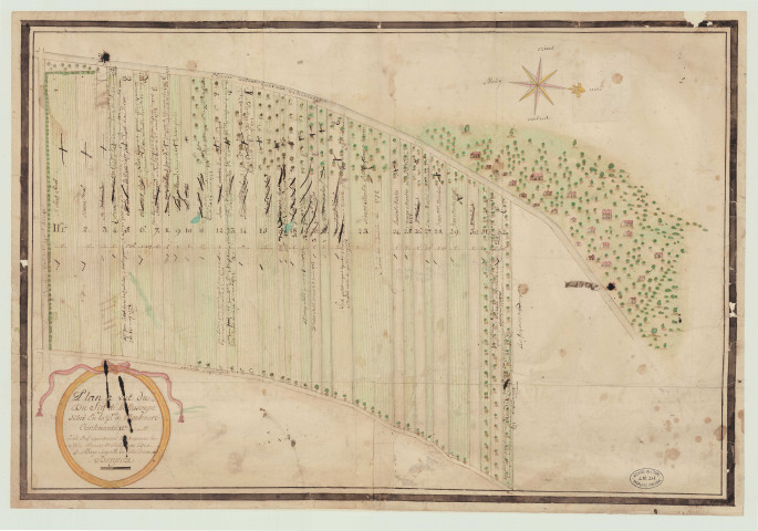 Montaure - "Plan à vue du fief de Hallesoupe situé sur la paroisse de Montaure". *
