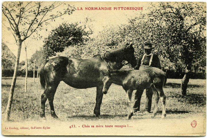 Divers. La Normandie pittoresque. - Chés sa mère toute recopie ! ….