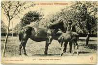 Divers. La Normandie pittoresque. - Chés sa mère toute recopie ! ….