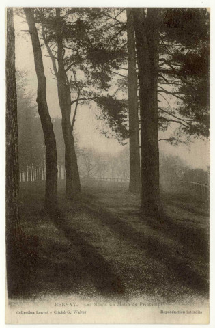 Bernay. Les Monts un Matin de Printemps.