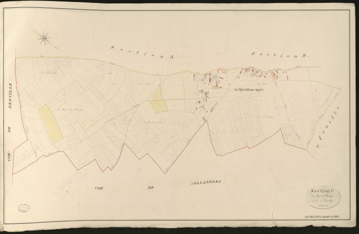 Tilleul-Dame-Agnès. Section C _ du Bois des Champs _ 1re de 2 Feuilles