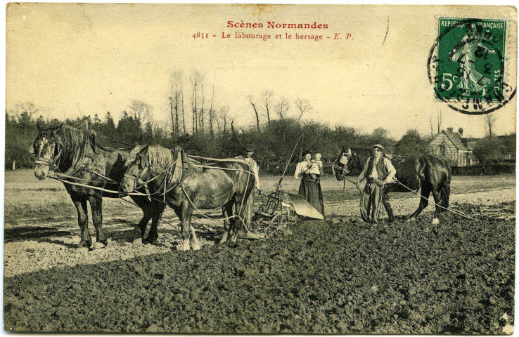 Divers. Scènes Normandes. - Le Labourage et le hersage.
