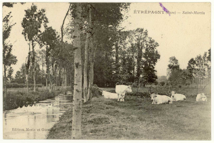 Etrépagny. Saint-Martin.