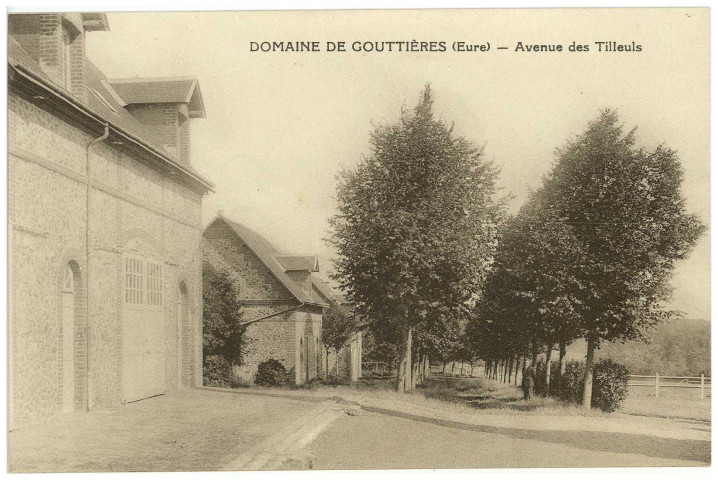 Gouttières. Domaine de Gouttières (Eure) - Avenue des Tilleuls.