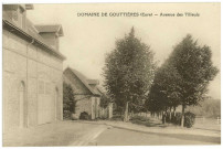 Gouttières. Domaine de Gouttières (Eure) - Avenue des Tilleuls.