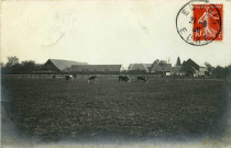 Andelys (Les). [Une pâture près des Andelys].