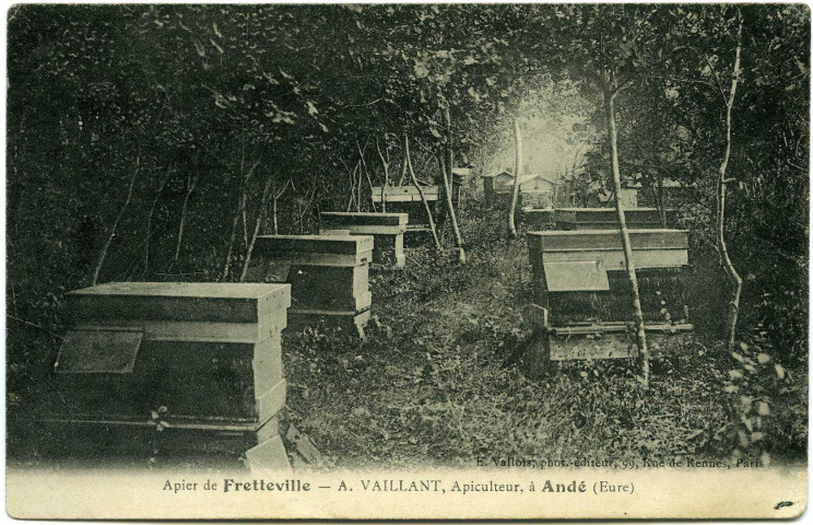 Daubeuf-près-Vatteville. Apier de Fretteville. - A. Vaillant, Apiculteur, à Andé (Eure).