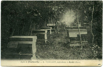 Daubeuf-près-Vatteville. Apier de Fretteville. - A. Vaillant, Apiculteur, à Andé (Eure).