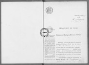 NMD (1919)