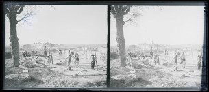 Cordiers avec à l'arrière-plan la madrasa al Firdaws et un ancien cimetière musulman à Alep (Syrie).