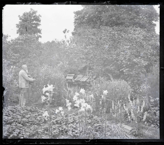 Vieil homme arrosant ses fleurs dans un potager avec des ruches. (Même personne que 9355).