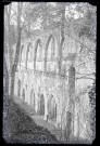 Ruines et vestiges de l'ancienne abbaye de Mortemer de Lisors (Eure).