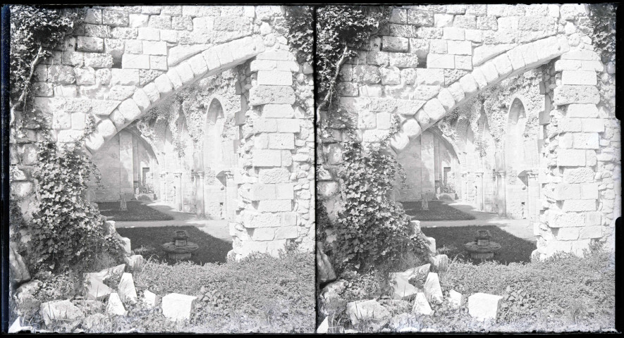 Ruines et vestiges de l'abbaye de Jumièges (Seine-Maritime).