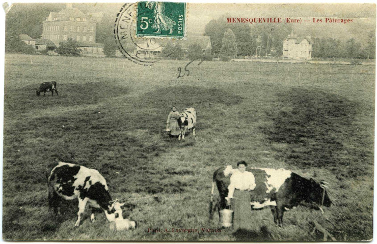 Ménesqueville. Les Pâturages.