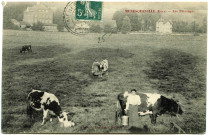 Ménesqueville. Les Pâturages.