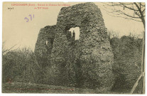 Longchamps. Ruines du Château fort d'Etreut au XVe siècle.
