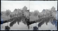 Chalands accostés au bord d'un canal des marais briérons (Loire-Atlantique).