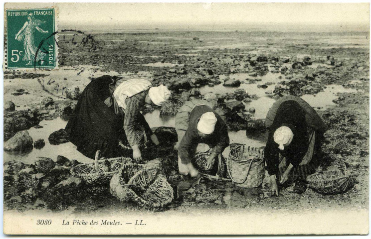 Divers. La Pêche des Moules.