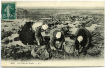 Divers. La Pêche des Moules.