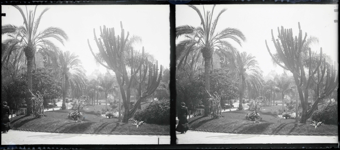 Jardin public méditerranéen.