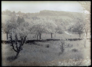 Vue sur le Prieuré de Rosay-sur-Lieure (Eure) depuis un verger en fleurs.