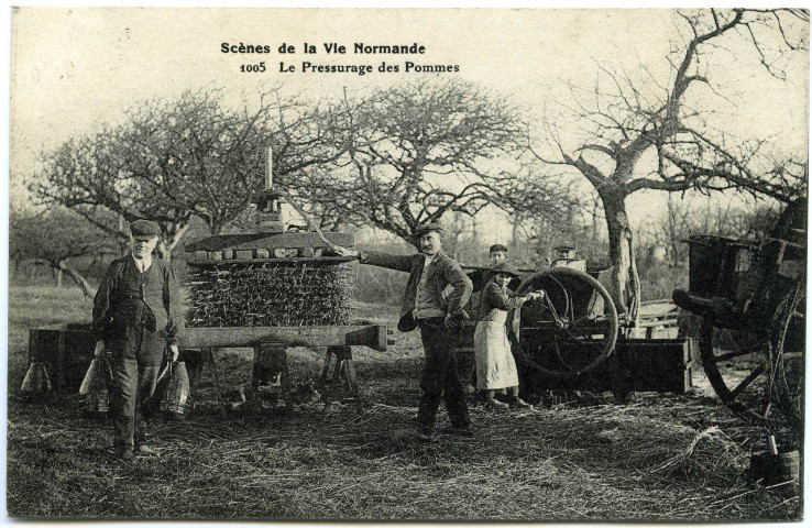 Divers. Scènes de la Vie Normande. - Visite à la Ferme : Le Pressurage des pommes.