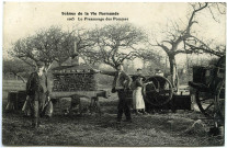 Divers. Scènes de la Vie Normande. - Visite à la Ferme : Le Pressurage des pommes.