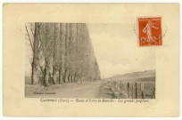 Garennes-sur-Eure. Route d'Ivry-la-Bataille - Les grands peupliers.