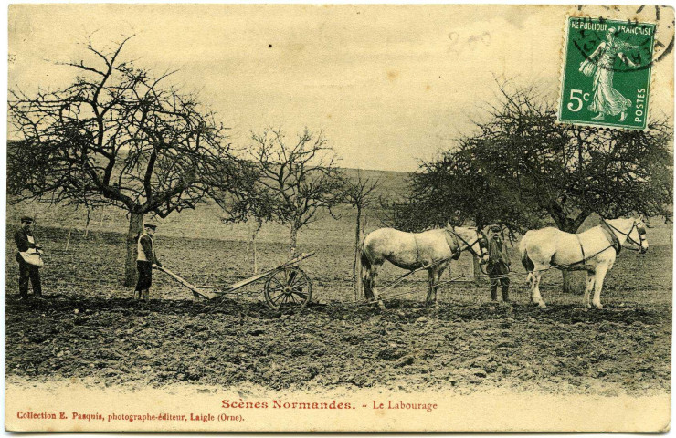 Divers. Scènes Normandes. - Le Labourage.