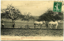 Divers. Scènes Normandes. - Le Labourage.