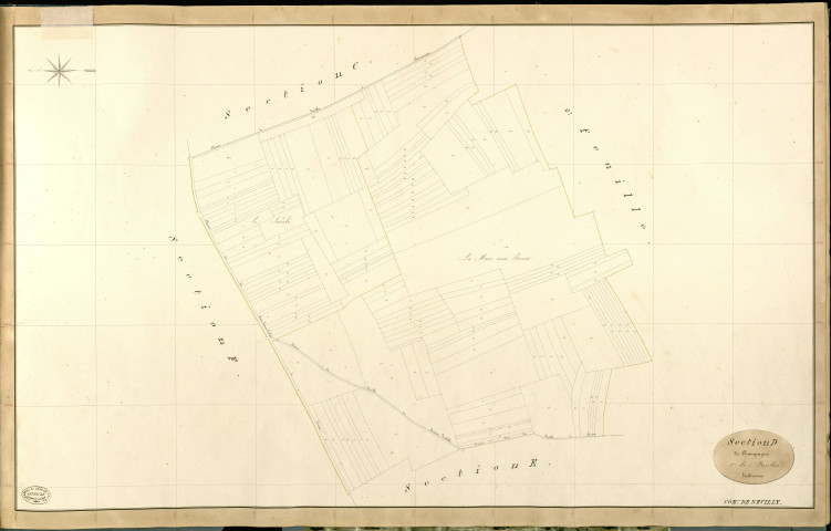 Reuilly. Section D _ de Champagne _ 1re de 3 Feuilles