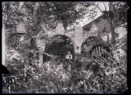 Jardin de la mosquée d'Ourfa (Turquie) (notice PA).
