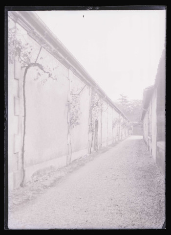 Ruelle bordée par un long bâtiment couvert de vignes.