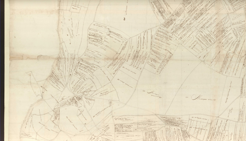 Coulonges - "Plan de la seigneurie des Murgés". *