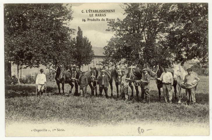 Caillouet-Orgeville. L'établissement : Le Haras : Produit du Haras.