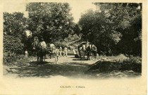 CILAOS - L'Aloès