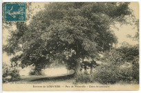 Pinterville. Parc de Pinterville - Chêne bi-centenaire.
