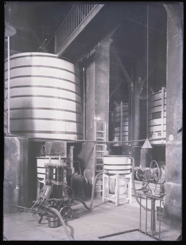 Cave de distillation et d'affinage de cognac à Cognac (Charente).