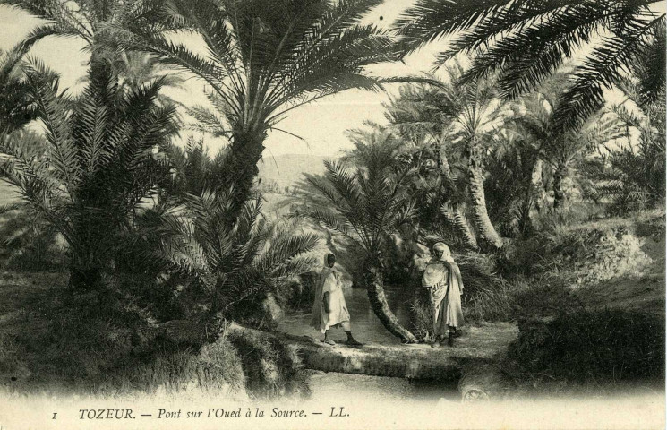 TOZEUR. - Pont sur l'Oued à la Source