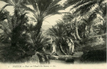 TOZEUR. - Pont sur l'Oued à la Source