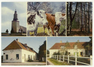 Essarts (Les). Commune de 1500 hectares-Plaines Fertile et giboyeuse, parsemée de nombreux îlots de verdure, habitat dispersé 1-L'Eglise-2-Sous-bois des Houilles-3-Mairie-4-Ecole.
