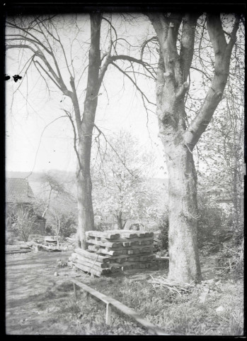 Tas de poutres (servant probablement à la restauration des voûtes) au pied de deux arbres dans le village de Ménesqueville (Eure).
