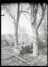 Tas de poutres (servant probablement à la restauration des voûtes) au pied de deux arbres dans le village de Ménesqueville (Eure).