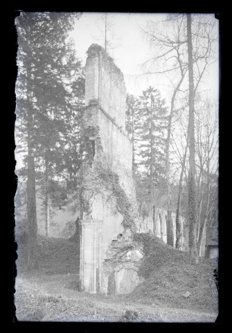 Ruines de l'abbaye de Mortemer (Lisors, Eure).