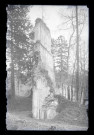 Ruines de l'abbaye de Mortemer (Lisors, Eure).