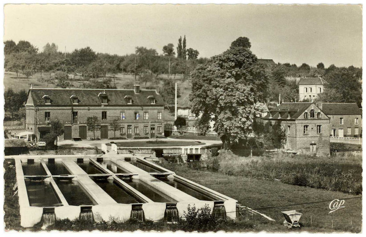 Montreuil-l'Argillé. Pisciculture du Moulin.